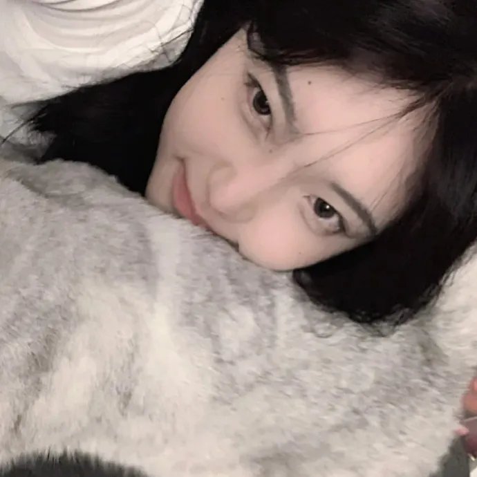 2026热门内容精选第037期